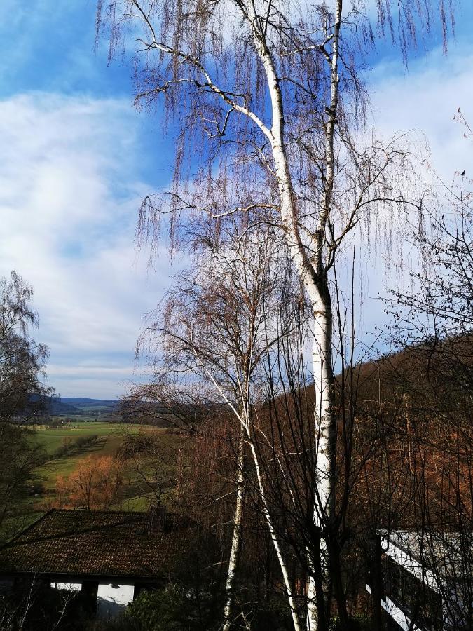 Geraeumige 2-Z Wohnung Im Gruenen, Garten, Terrasse, Ruhig, Natur, Phantastischer Blick! Marburg Exterior foto