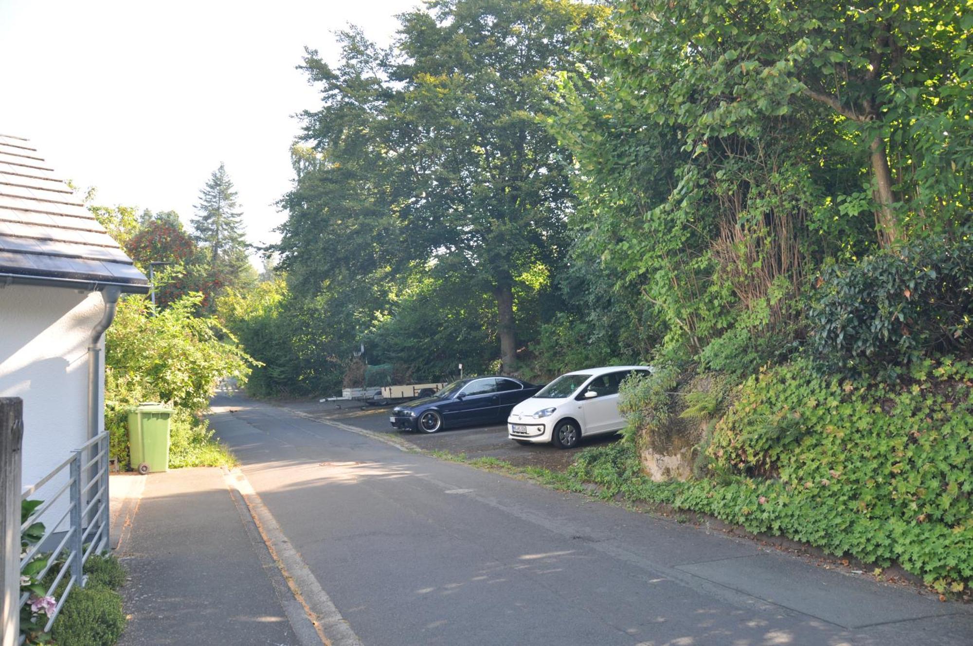 Geraeumige 2-Z Wohnung Im Gruenen, Garten, Terrasse, Ruhig, Natur, Phantastischer Blick! Marburg Exterior foto