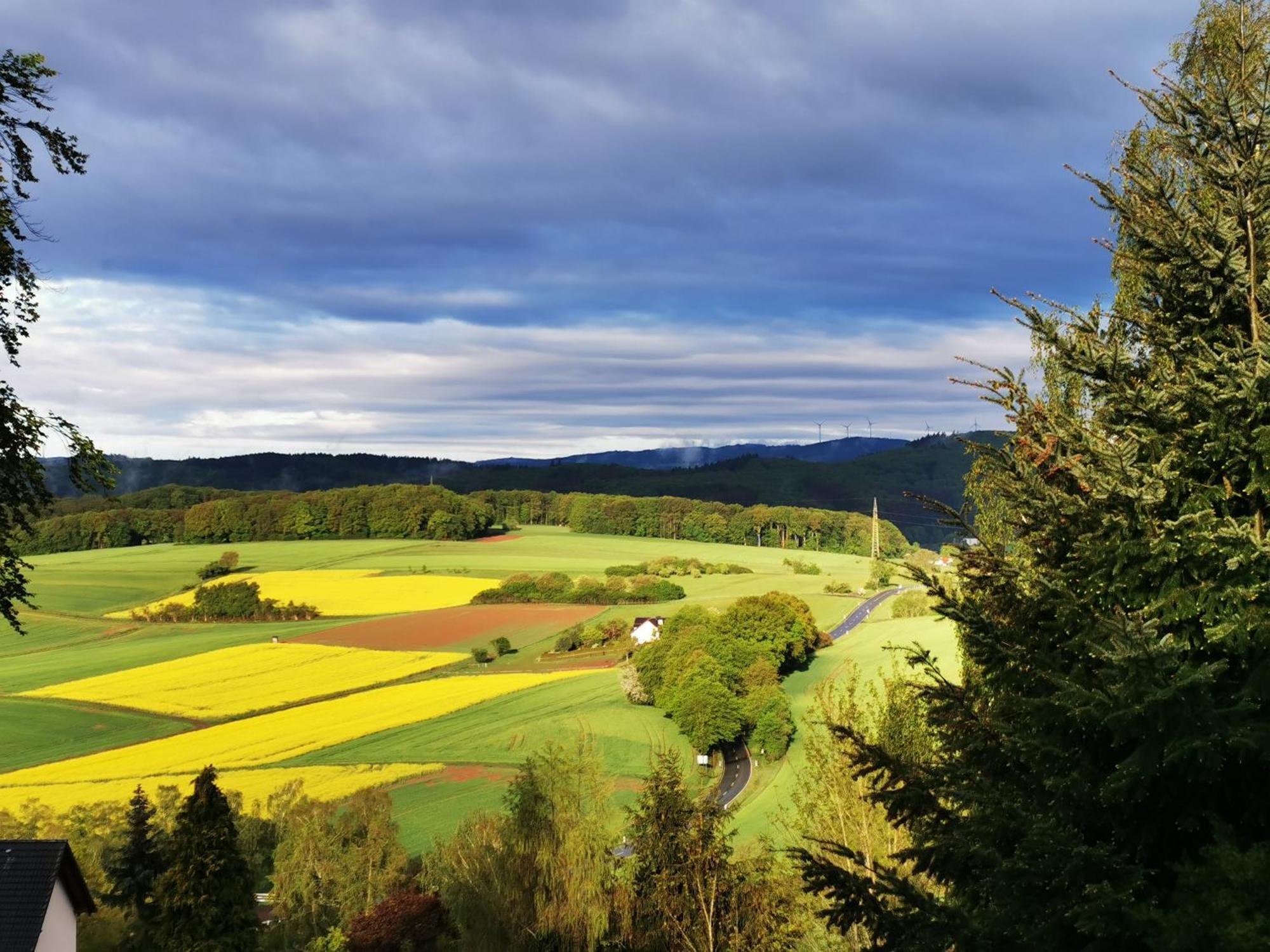 Geraeumige 2-Z Wohnung Im Gruenen, Garten, Terrasse, Ruhig, Natur, Phantastischer Blick! Marburg Exterior foto